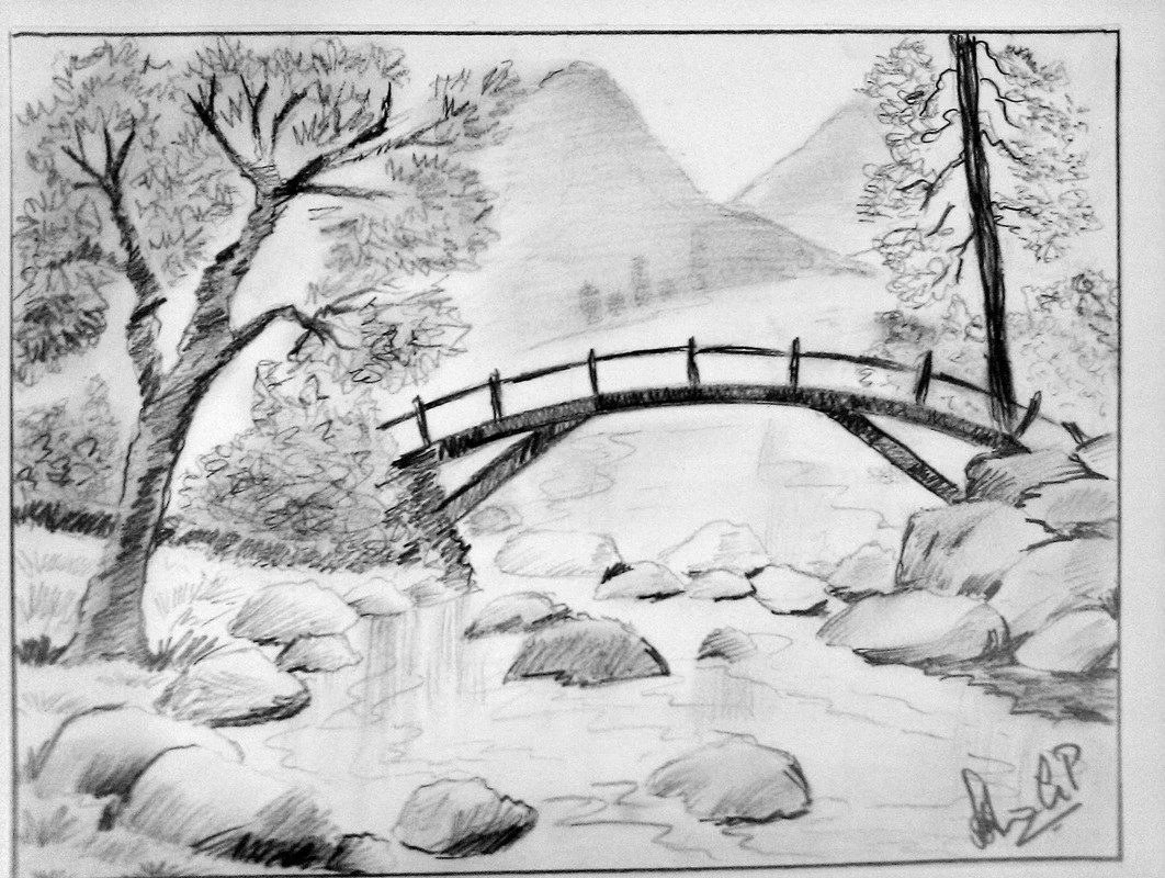 ảnh hoa hồng — ảnh 84