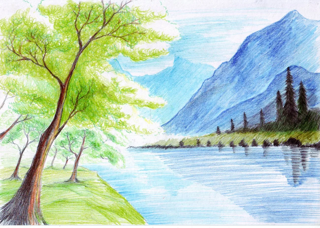 ảnh hoa hồng (69)