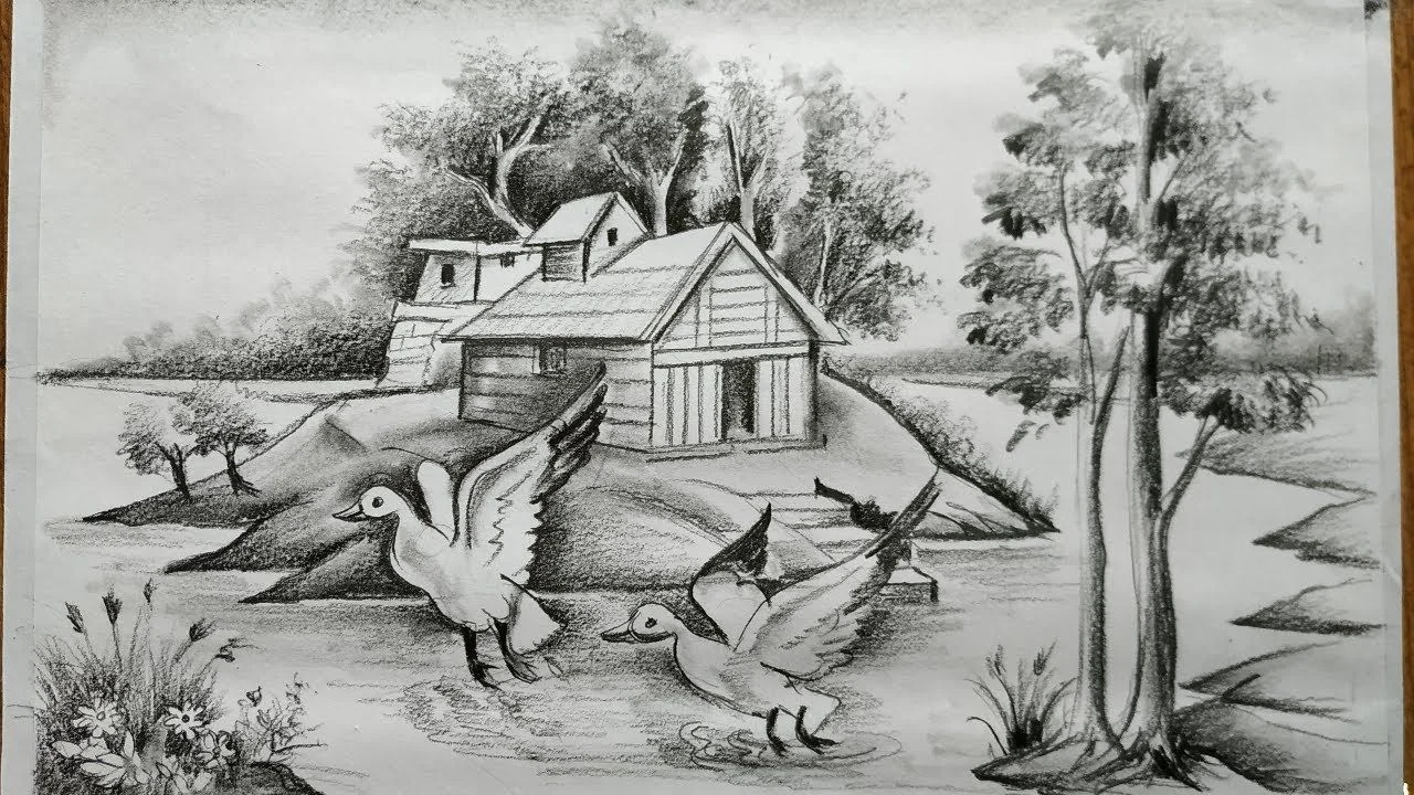 Bộ sưu tập ảnh hoa hồng — ảnh 55