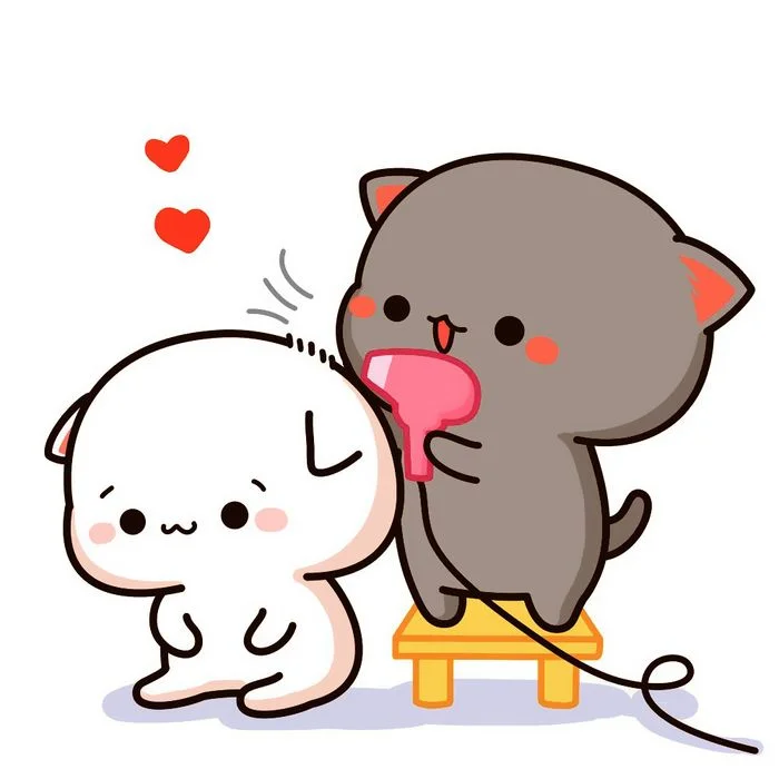 hình ảnh mèo cute đang sấy tóc cho nhau theo phong cách hoạt hình đáng yêu