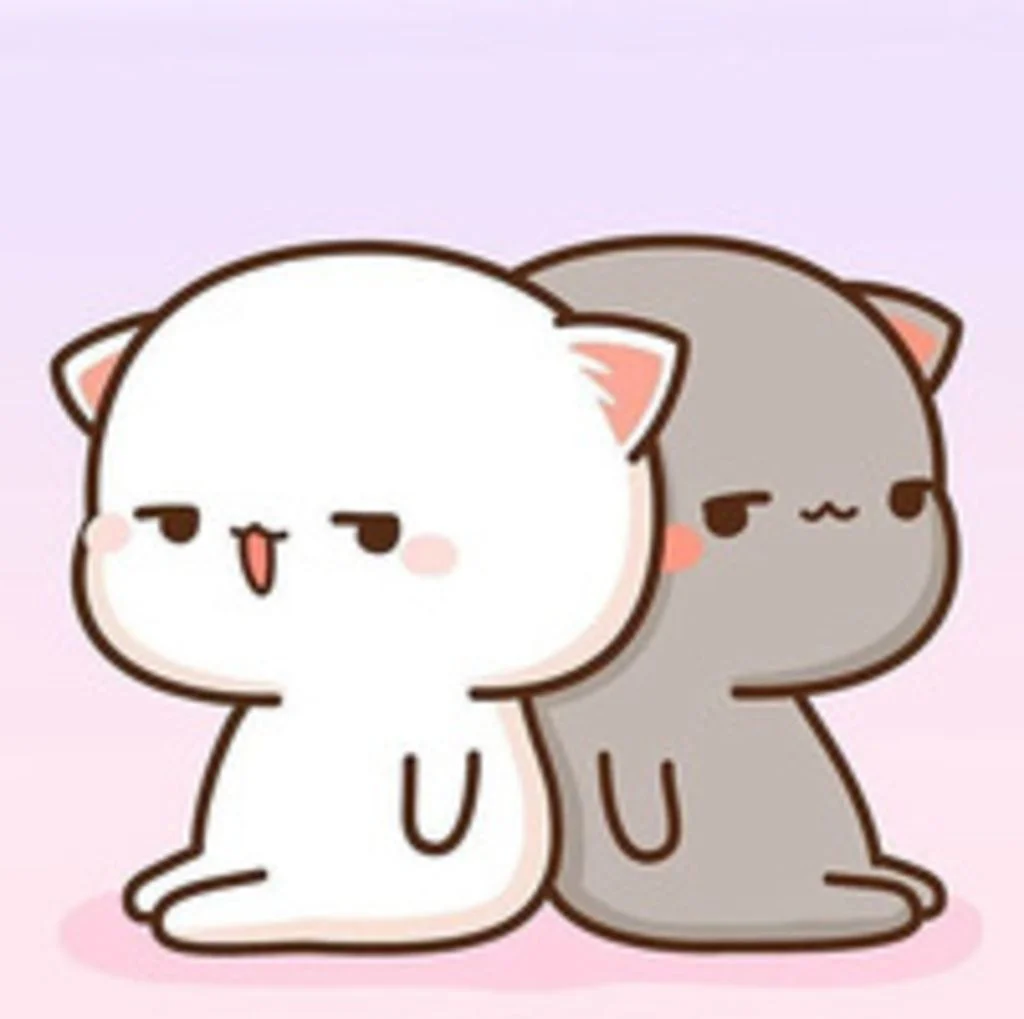 Hai chú mèo cute trắng và xám ngồi cạnh nhau