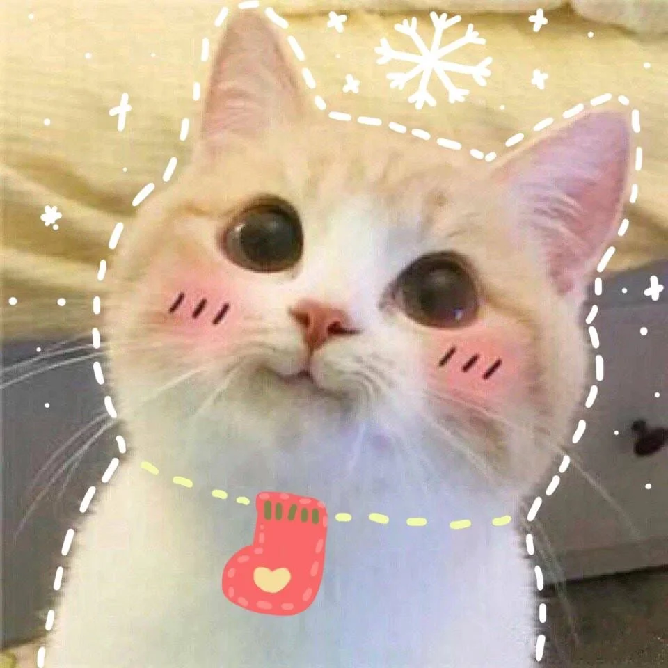 hình ảnh mèo cute lông trắng kem má ửng hồng đôi mắt to tròn long lanh siêu đáng yêu