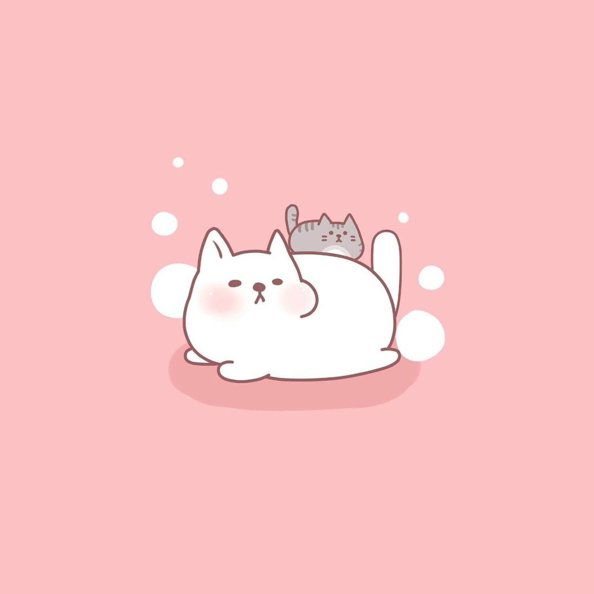 hình nền ipad cute với hình vẽ hai chú mèo dễ thương trên nền hồng