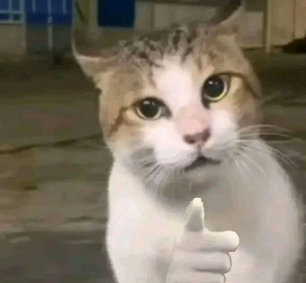 Meme Con Chó Chỉ Tay Những Hình Ảnh "Cà Khịa" Cực Chất