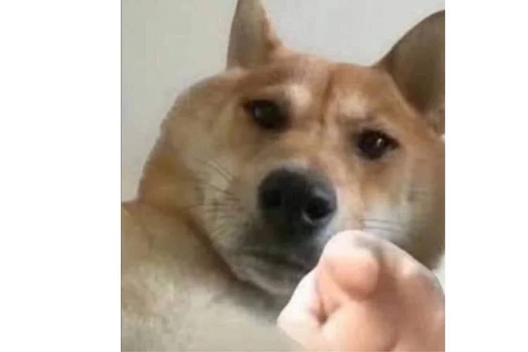 Khám phá top meme chỉ tay hài hước, cực "hot" trên mạng xã hội (2)