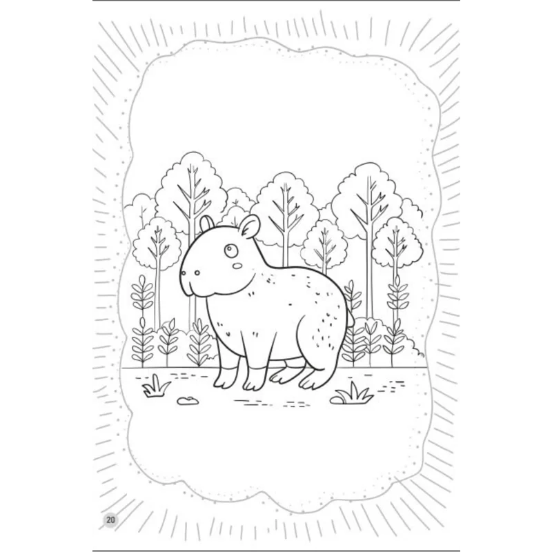Bé Tô Màu Capybara Bộ Trưởng Bộ Ngoại Giao Cuộc Sống Muôn Màu – Phương Nam Retail