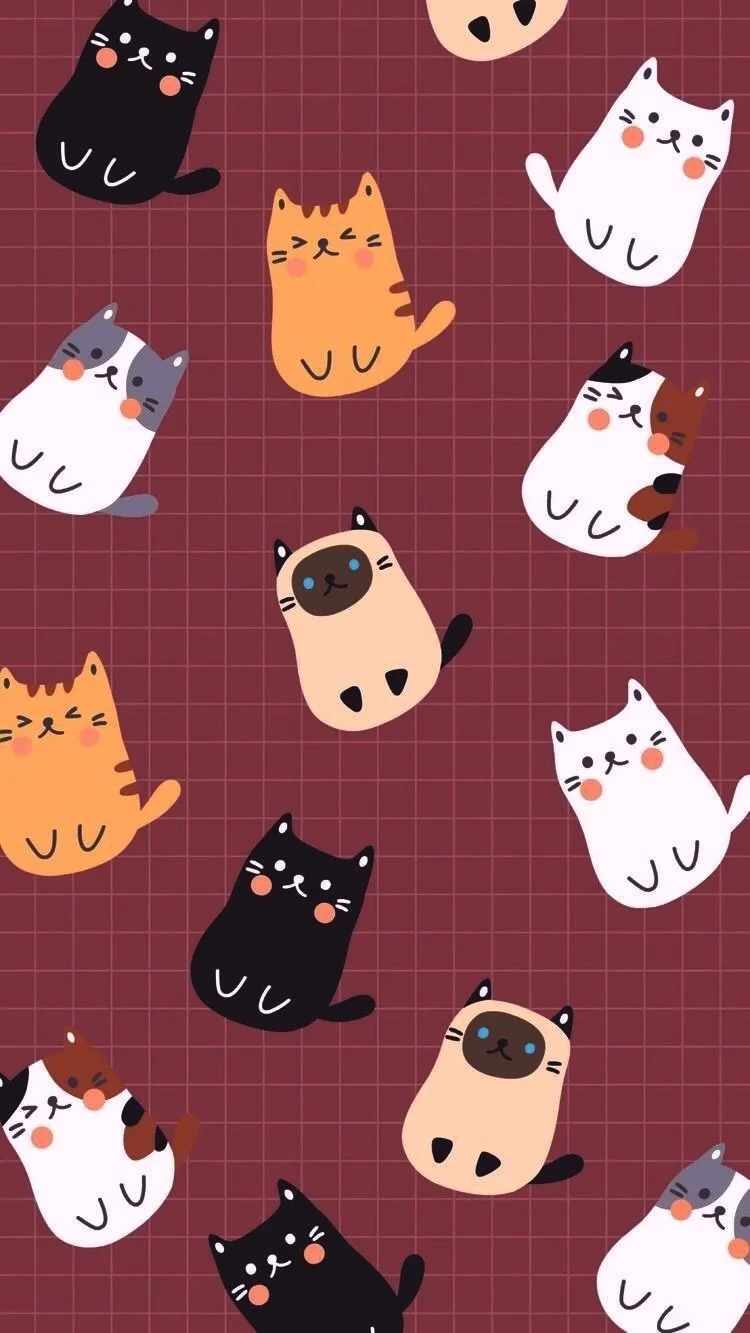 Ảnh mèo cute cam nằm dài nhìn máy ảnh