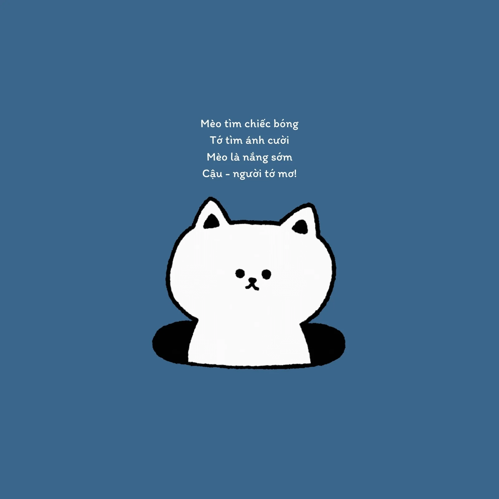 Ảnh mèo cute: kho mẫu hình mèo đáng yêu, dễ chỉnh sửa | Canva