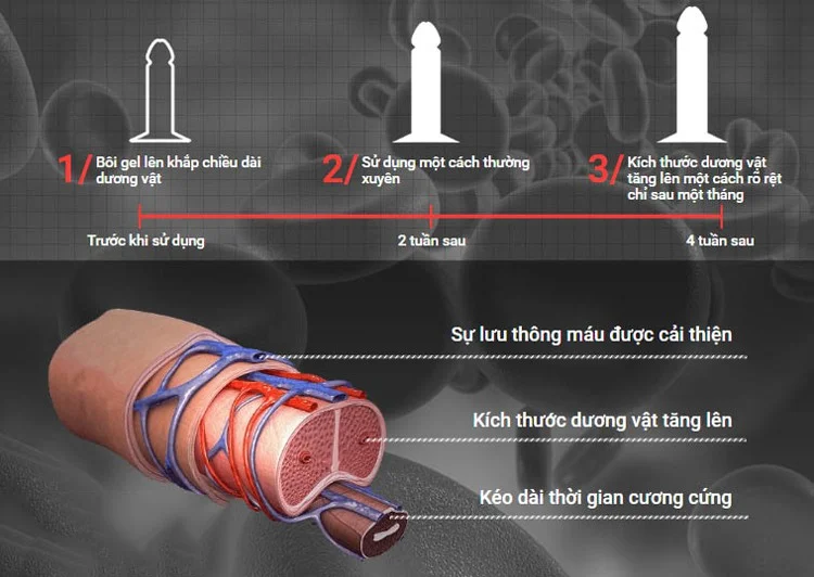 Cấu tạo và cơ chế làm TO dương vật bằng máy tập, gel tăng kích thước 1