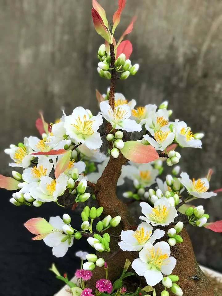 cây hoa mai trắng bonsai đẹp mắt