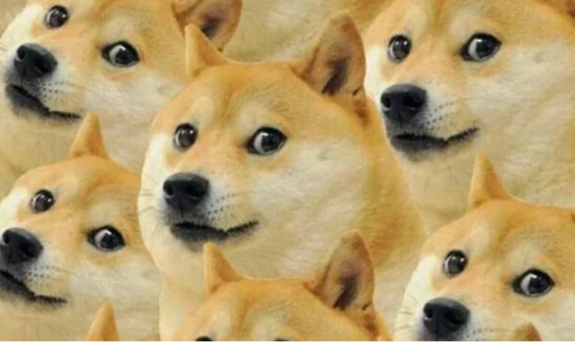 Ảnh meme hài hước cho điện thoại