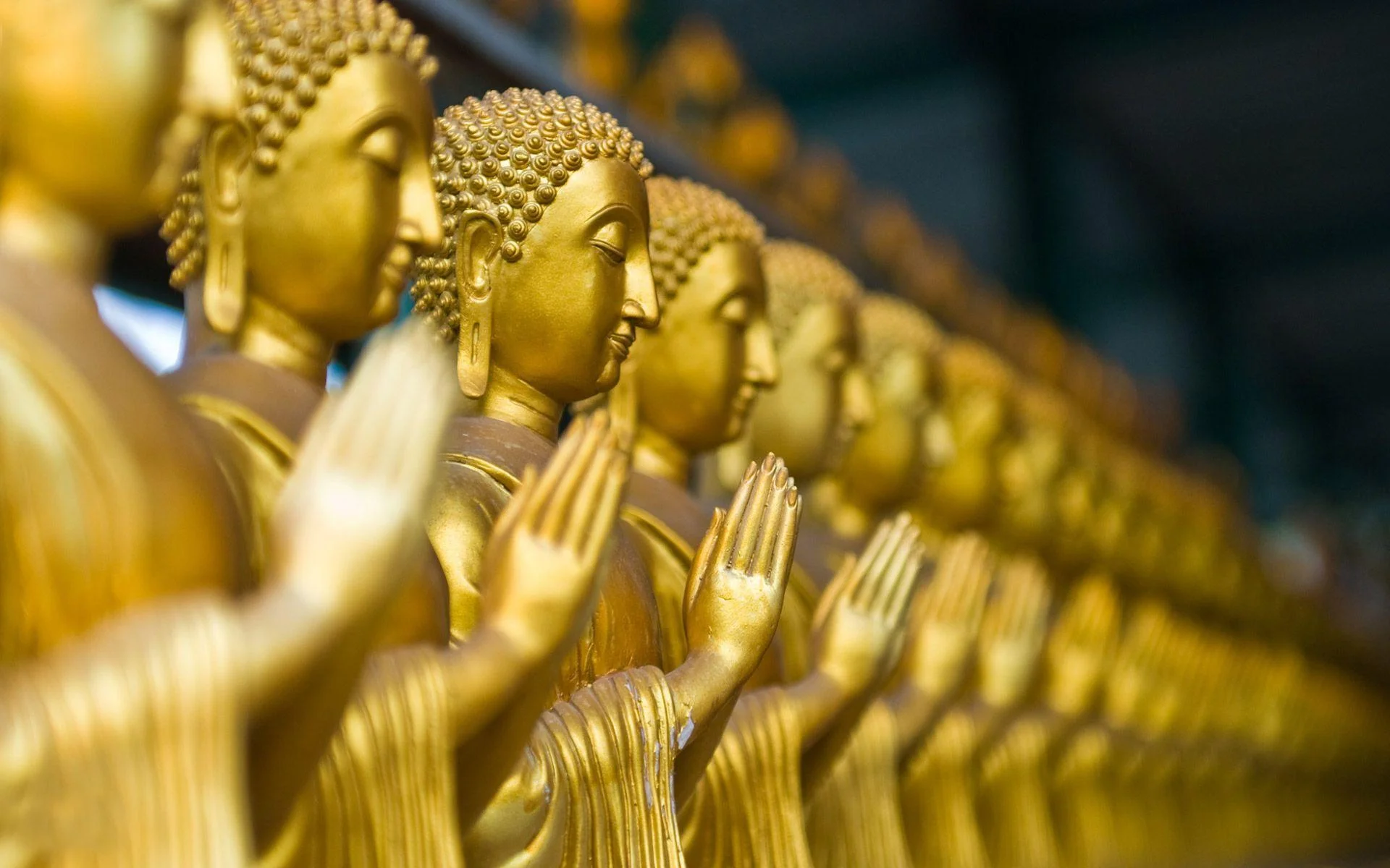 Hàng dài tượng hình ảnh phật bằng đồng nối tiếp nhau